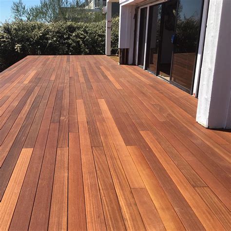 legno balau